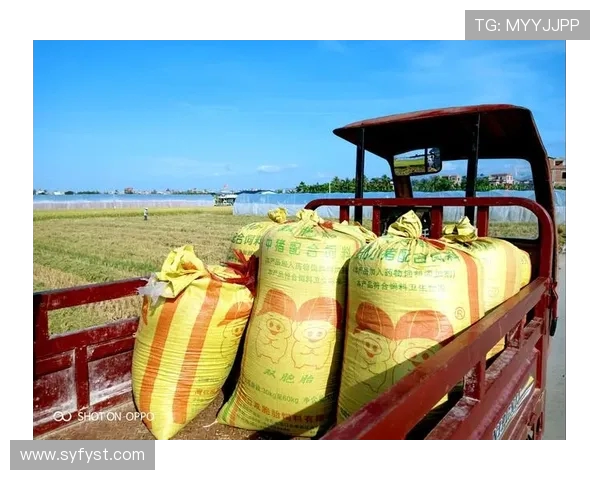 谢什科的传奇人生与时代变迁的交织探索