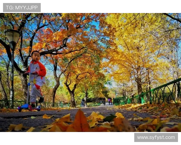 南京滑板队与广州滑板队赛后复盘团队协作的精彩瞬间与经验分享